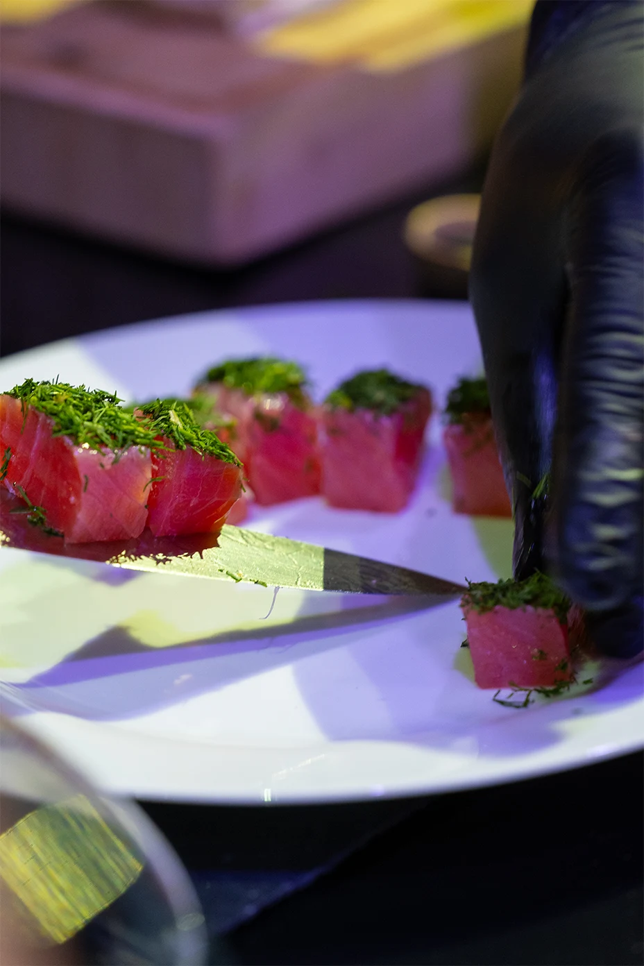 Disposition saumon aneth, photographe culinaire de Rouen